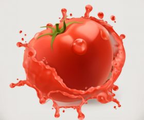 Tomato juice splash vector illustration