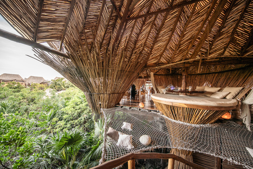 Tropical Jungle Travel Inn Stock Photo