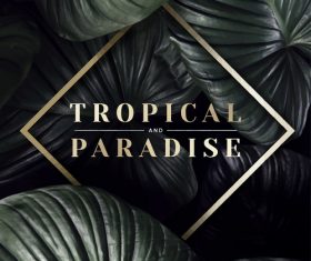 Tropical paradise with leaves vectors