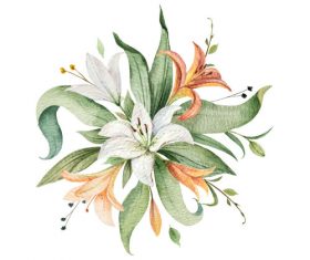 Watercolor lilies flower vector illustration 01
