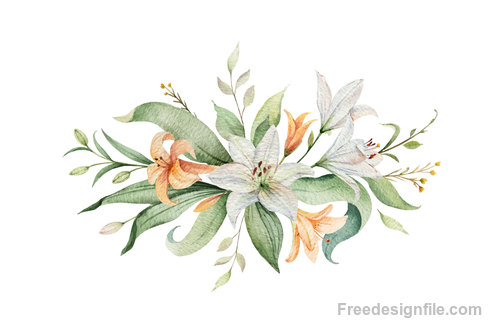 Watercolor lilies flower vector illustration 02
