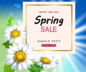 White flower with sale background vector