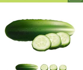 cucumber illustration vector material