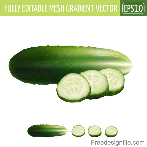 cucumber illustration vector material