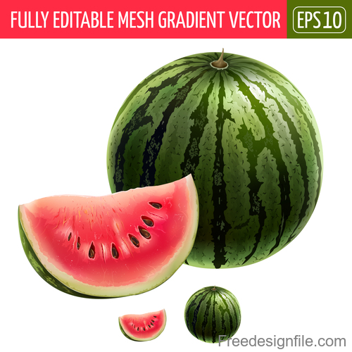 watermelon illustration vector material