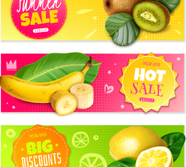 Sale fresh fruit banner vectors