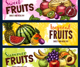 Summer Fruit Sale Discount Banner vectors