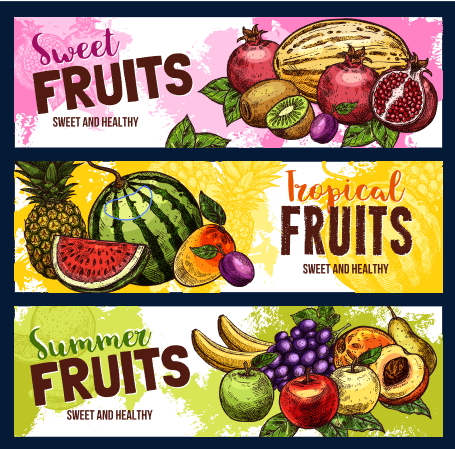 Summer Fruit Sale Discount Banner vectors