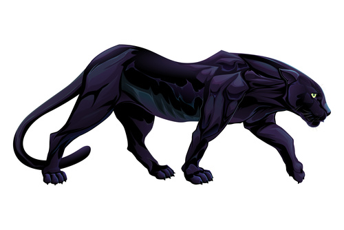Black Panther vectors