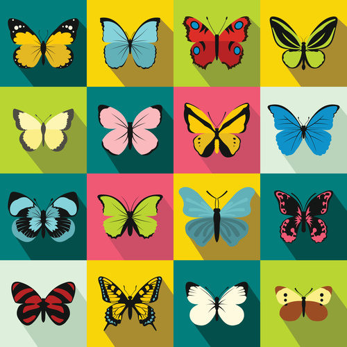Butterfly icons flat style vector