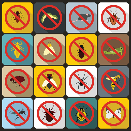 Eliminate pests icons flat style vector