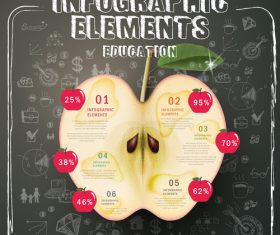 Fruit Infographic Template Design vector