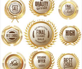 Golden medalion with laurel wreath collection vector