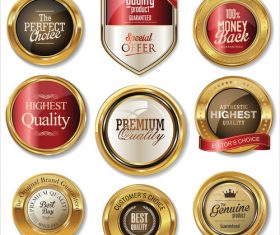 Golden retro vintage badges collection vector