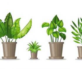 Green broadleaf plant vectors