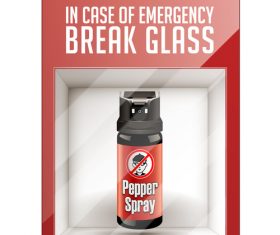 Pepper spray inside the box vector