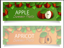 Apple apricot sale banner vectors