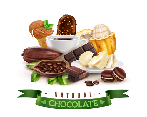 Realistic cocoa chocolate illustration vector
