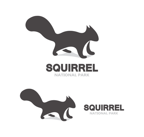 Squirrel logo vector