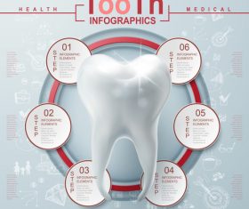 Teeth Infographic Template Design vector