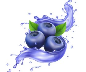 3D realistic blueberry juice ad vector packaging design