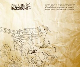Bird and flower background pattern vector