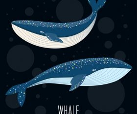Blue whale cover vector