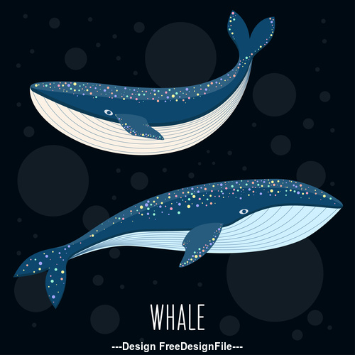 Blue whale cover vector