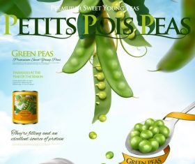 Canned young peas ads poster 3d vector illustration