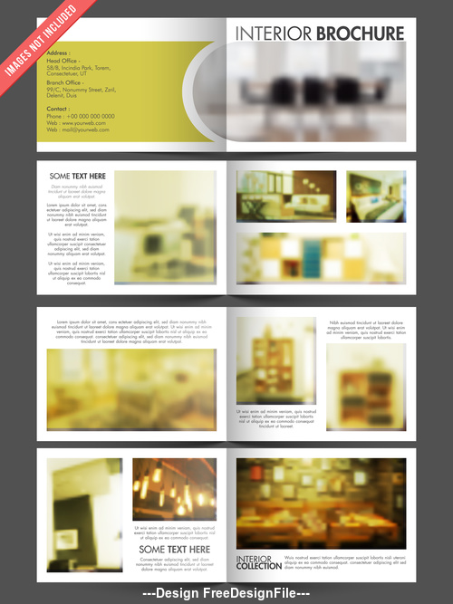 Decoration design brochure vector