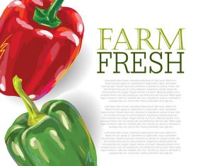 Fresh Green Pepper Ad Template vector