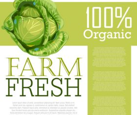 Fresh Organic Cabbage Ad Template vector