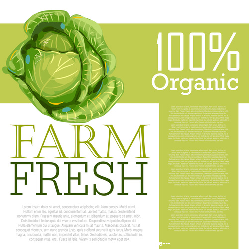 Fresh Organic Cabbage Ad Template vector