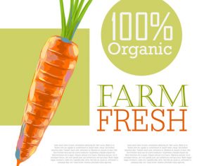 Fresh Organic Carrots Ad Template vector
