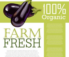 Fresh Organic Eggplant Ad Template vector