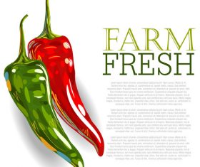 Fresh Red Pepper Ad Template vector