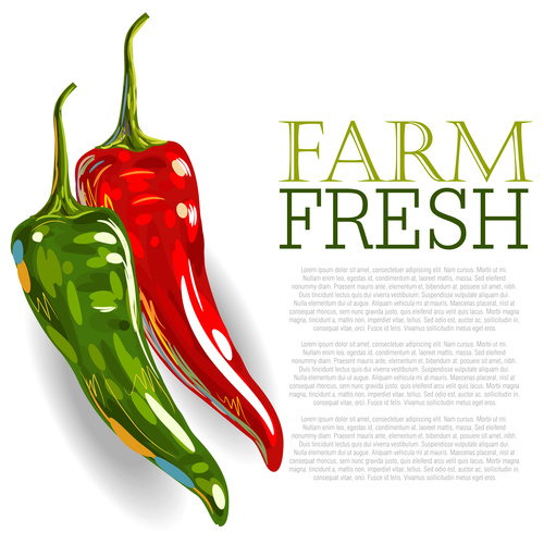 Fresh Red Pepper Ad Template vector