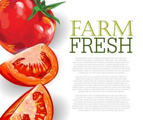 Fresh Tomatoes Ad Template vector