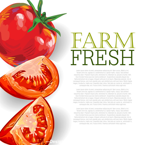 Fresh Tomatoes Ad Template vector