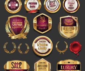 Golden badges and labels set vector