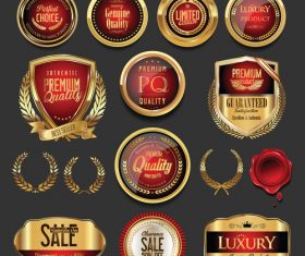 Premium quality golden badges vector