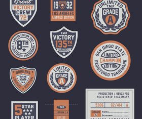 Retro victory label vector
