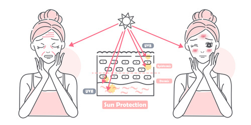 Sun protection cartoon girl skin care vector