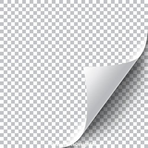 White squared paper curly page corner vector