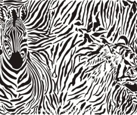 Zebra and leopard Background with skins and head vector