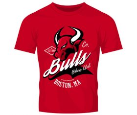 bulls t-shirt red vintage vector