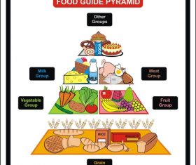 food guide pyramid vector