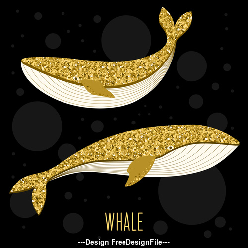 luxury whale vector