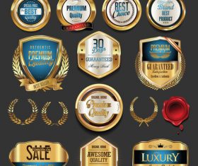 quality golden badges and labels collection vector