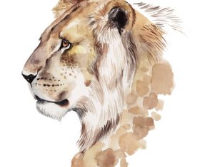 Lion hand drawn watercolor animals vector